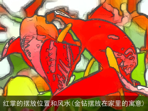 红掌的摆放位置和风水(金钻摆放在家里的寓意)
