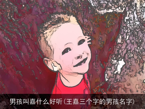 男孩叫嘉什么好听(王嘉三个字的男孩名字)
