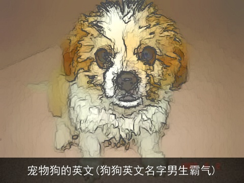 宠物狗的英文(狗狗英文名字男生霸气)