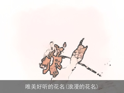 唯美好听的花名(浪漫的花名)