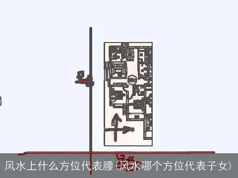 风水上什么方位代表腰(风水哪个方位代表子女)