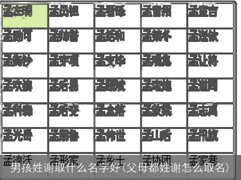 男孩姓谢取什么名字好(父母都姓谢怎么取名)