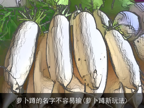 萝卜蹲的名字不容易输(萝卜蹲新玩法)