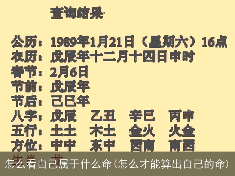怎么看自己属于什么命(怎么才能算出自己的命)