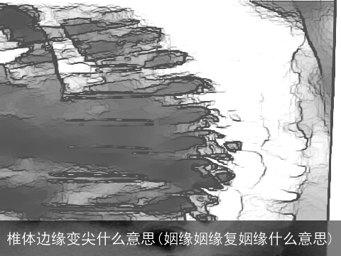 椎体边缘变尖什么意思(姻缘姻缘复姻缘什么意思)
