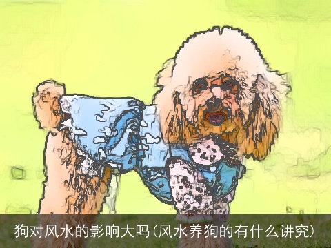 狗对风水的影响大吗(风水养狗的有什么讲究)