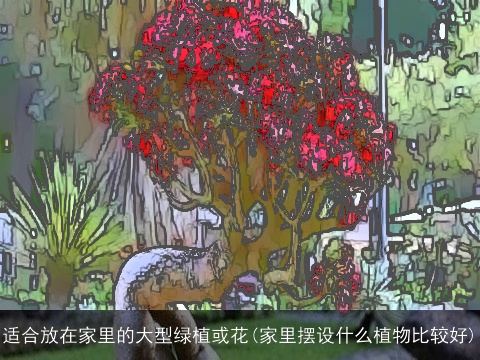 适合放在家里的大型绿植或花(家里摆设什么植物比较好)