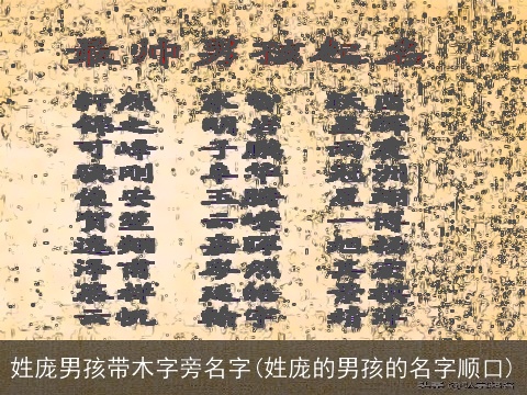 姓庞男孩带木字旁名字(姓庞的男孩的名字顺口)