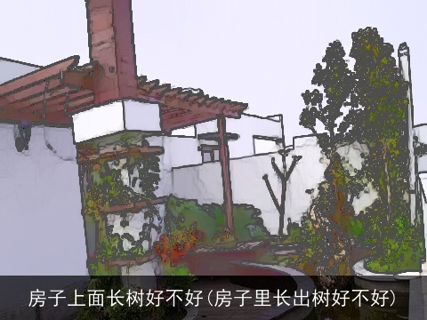 房子上面长树好不好(房子里长出树好不好)