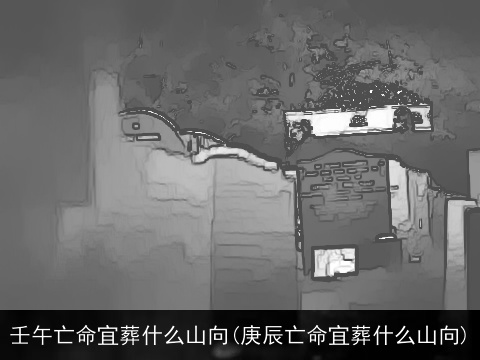 壬午亡命宜葬什么山向(庚辰亡命宜葬什么山向)