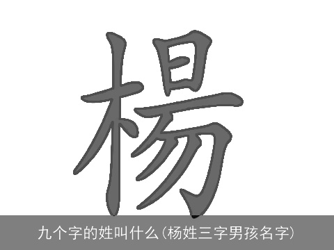 九个字的姓叫什么(杨姓三字男孩名字)
