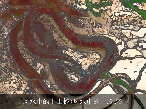 风水中的上山蛇(风水中的上岭蛇)