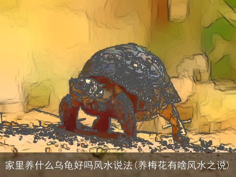 家里养什么乌龟好吗风水说法(养梅花有啥风水之说)