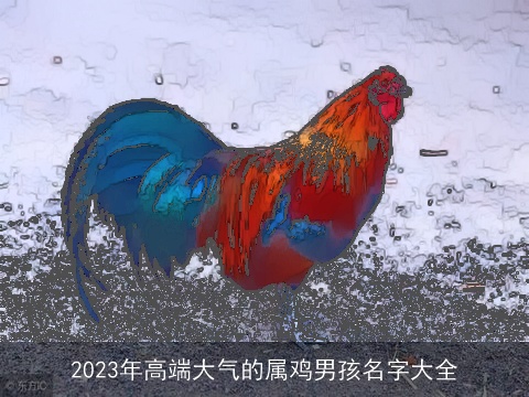 2023年高端大气的属鸡男孩名字大全