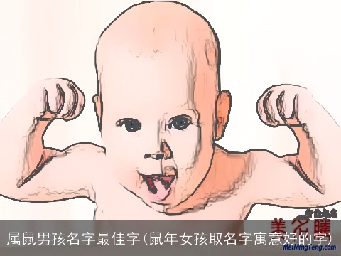 属鼠男孩名字最佳字(鼠年女孩取名字寓意好的字)