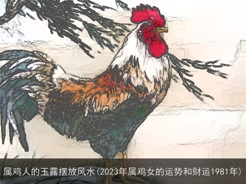 属鸡人的玉露摆放风水(2023年属鸡女的运势和财运1981年)