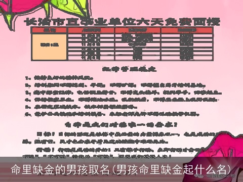 命里缺金的男孩取名(男孩命里缺金起什么名)