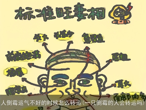 人倒霉运气不好的时候怎么转运(一只倒霉的人会转运吗)