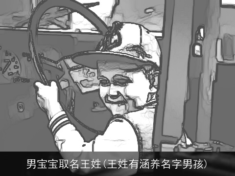 男宝宝取名王姓(王姓有涵养名字男孩)