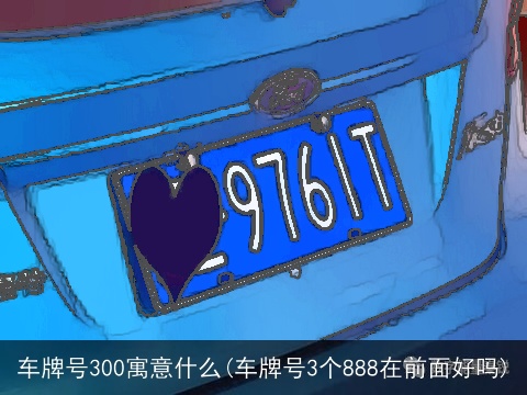 车牌号300寓意什么(车牌号3个888在前面好吗)