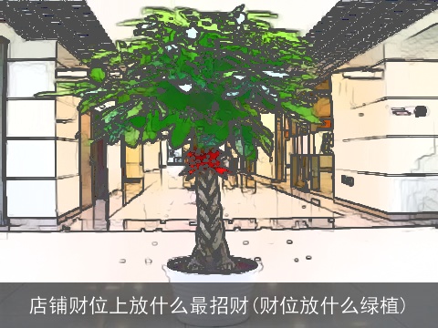 店铺财位上放什么最招财(财位放什么绿植)