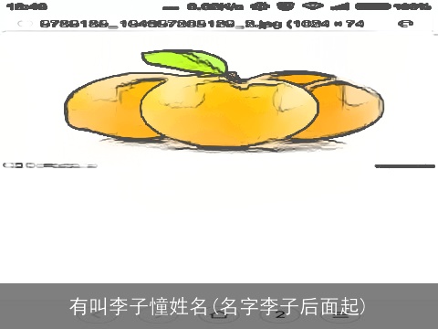 有叫李子憧姓名(名字李子后面起)