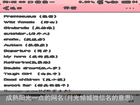成熟阳光一点的网名(月光倾城微信名的意思)