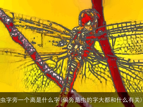 虫字旁一个离是什么字(偏旁是虫的字大都和什么有关)