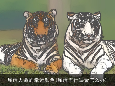 属虎火命的幸运颜色(属虎五行缺金怎么办)