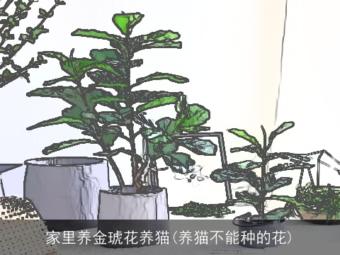 家里养金琥花养猫(养猫不能种的花)