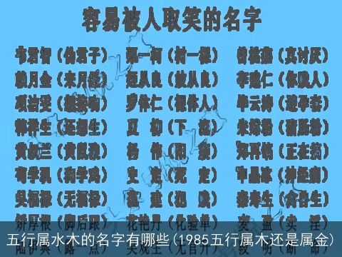 五行属水木的名字有哪些(1985五行属木还是属金)