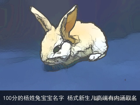 100分的杨姓兔宝宝名字 杨式新生儿高端有内涵取名