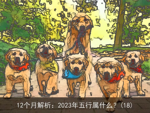 12个月解析：2023年五行属什么？(18)