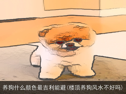 养狗什么颜色最吉利能避(楼顶养狗风水不好吗)