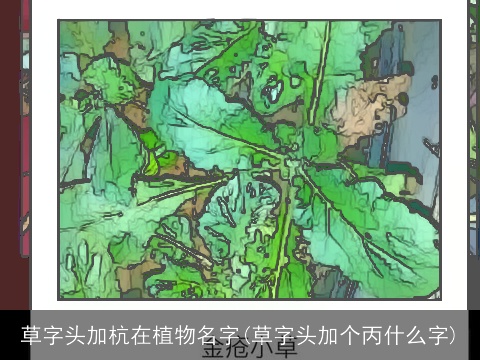 草字头加杭在植物名字(草字头加个丙什么字)