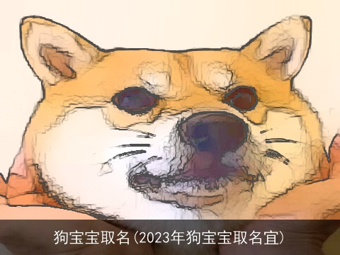 狗宝宝取名(2023年狗宝宝取名宜)