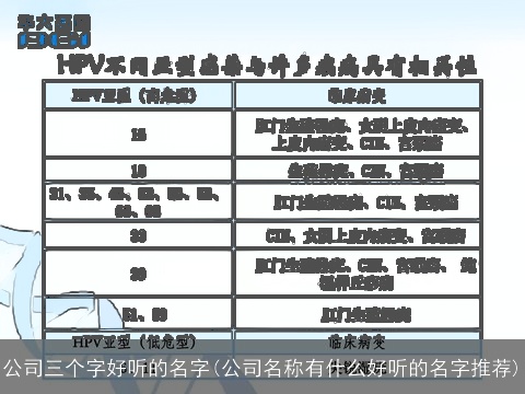 公司三个字好听的名字(公司名称有什么好听的名字推荐)