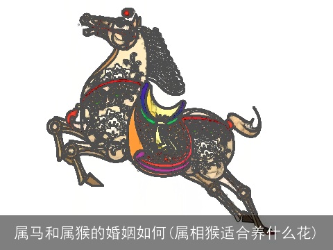 属马和属猴的婚姻如何(属相猴适合养什么花)