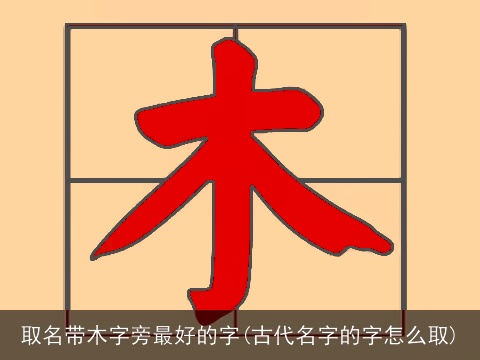 取名带木字旁最好的字(古代名字的字怎么取)