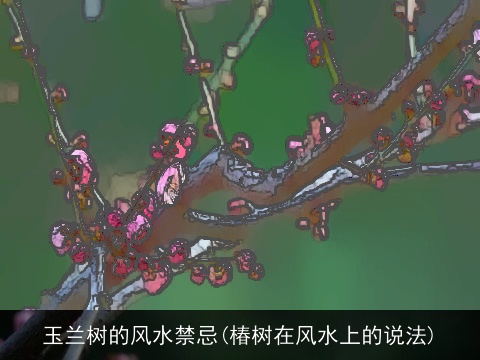 玉兰树的风水禁忌(椿树在风水上的说法)