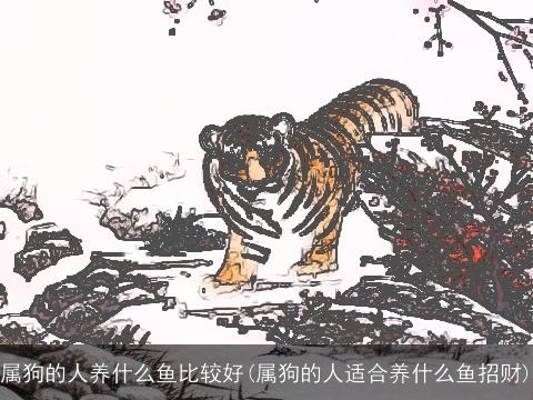 属狗的人养什么鱼比较好(属狗的人适合养什么鱼招财)