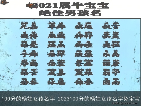100分的杨姓女孩名字 2023100分的杨姓女孩名字兔宝宝