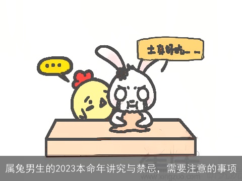 属兔男生的2023本命年讲究与禁忌，需要注意的事项