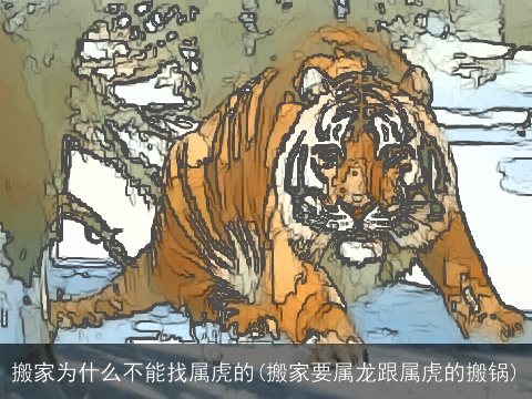 搬家为什么不能找属虎的(搬家要属龙跟属虎的搬锅)