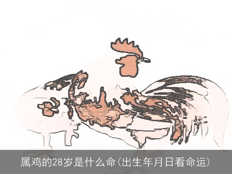 属鸡的28岁是什么命(出生年月日看命运)