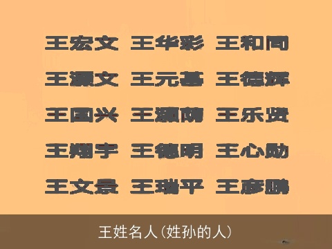 王姓名人(姓孙的人)