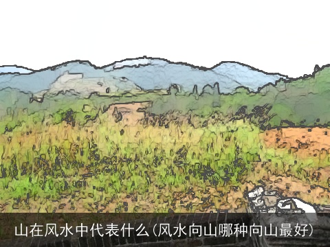 山在风水中代表什么(风水向山哪种向山最好)