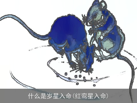 什么是岁星入命(红鸾星入命)