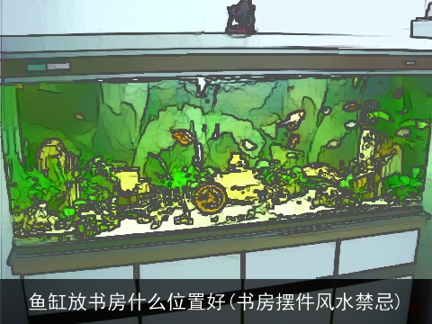 鱼缸放书房什么位置好(书房摆件风水禁忌)
