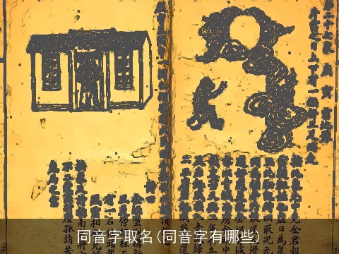 同音字取名(同音字有哪些)